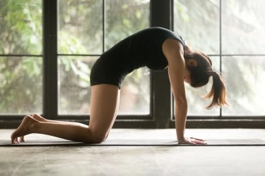 Cat Pose Marjaryasana