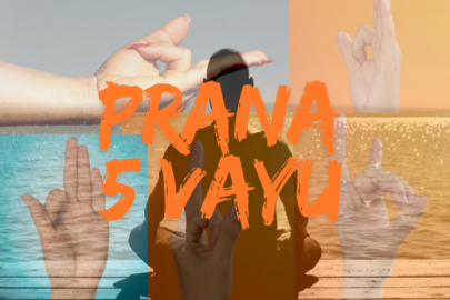 Beş Prana Vayu